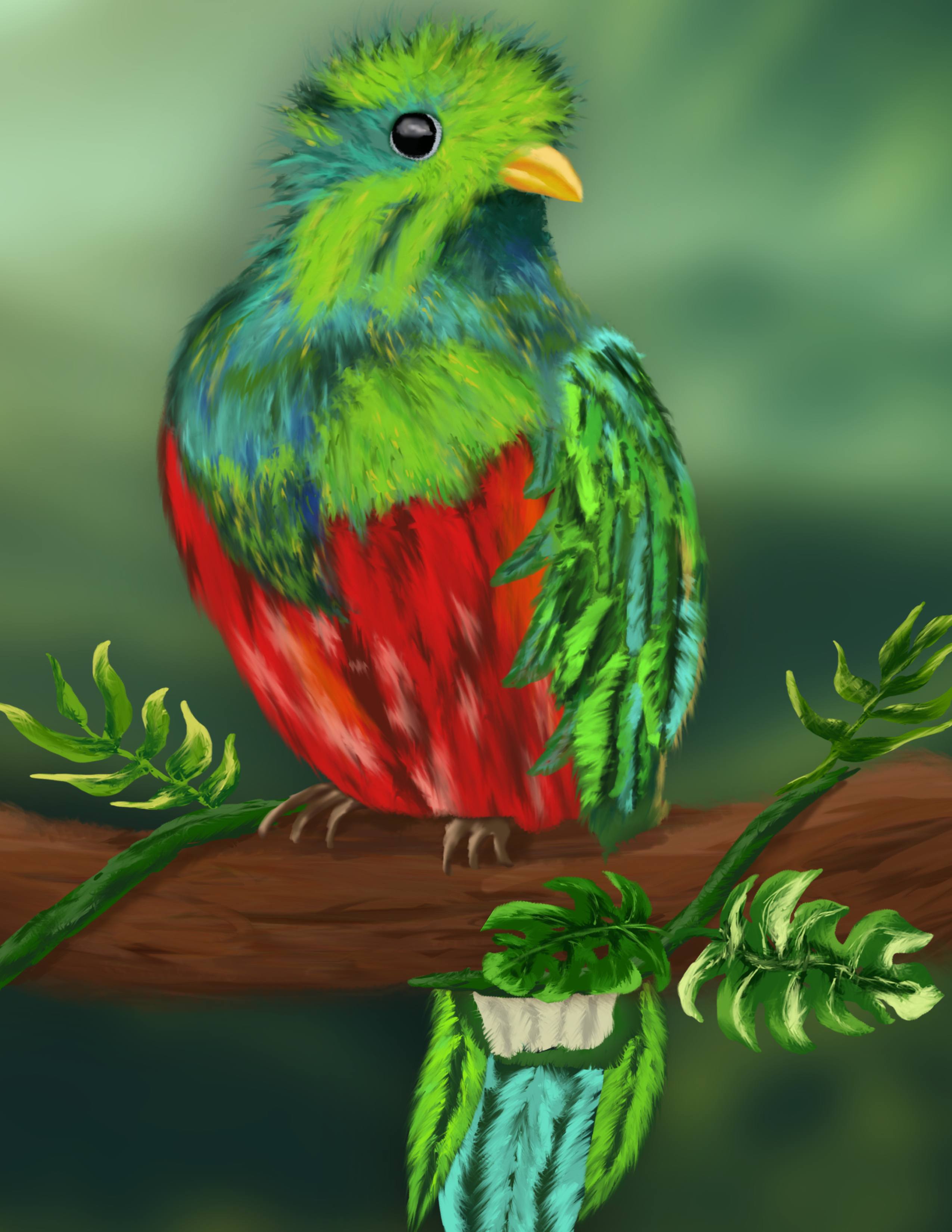 Ilustración 3