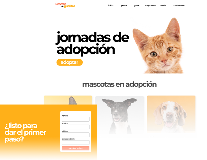 imagen1